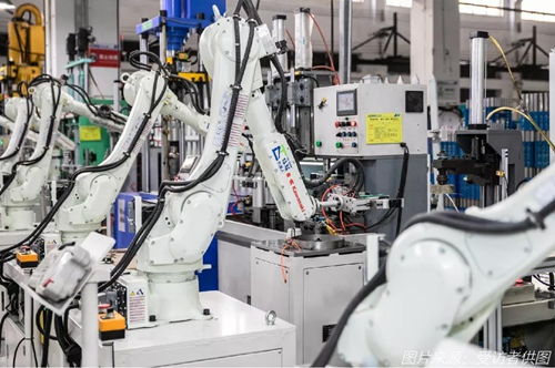 續(xù)命還是趨勢(shì)？外貿(mào)企業(yè)“出口轉(zhuǎn)內(nèi)銷”的真心話與大冒險(xiǎn)