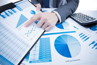 洞察市場(chǎng)，鏈接貿(mào)易 國(guó)內(nèi)知名市場(chǎng)調(diào)研與貿(mào)易代理服務(wù)機(jī)構(gòu)概覽